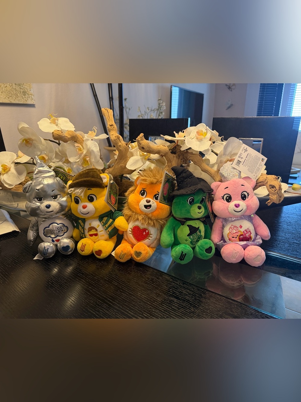 Care Bears Wicked Edition - set of 5